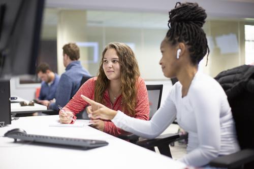 Two students review information on a computer in a business lab in Dempster Hall.