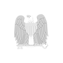 National Security Agency logo 