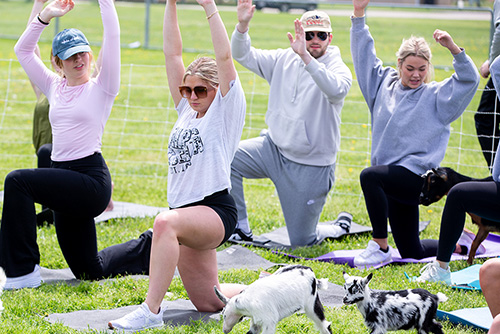 A group of students are doing yoga with a bunch of baby goats.