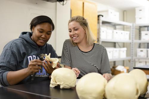 Students examine human remains in the Anthropology Lab.