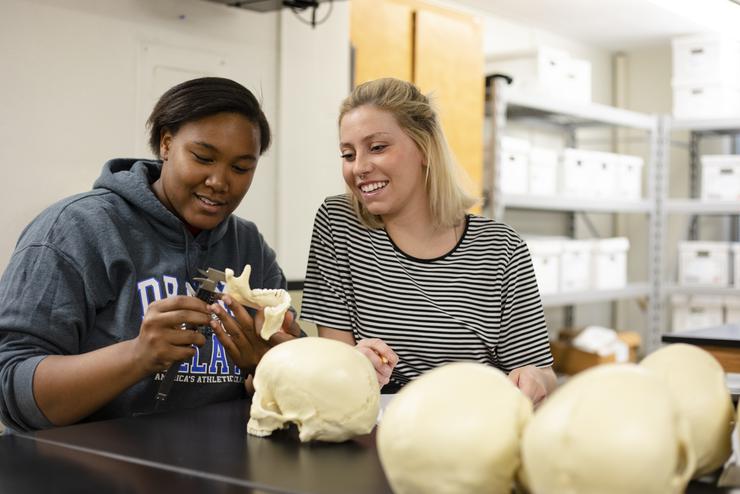 Students examine human remains in the Anthropology Lab.
