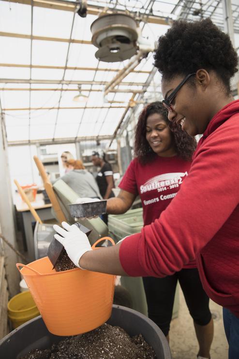 Biology students tend to soil while working inside the diversity greenhouse.