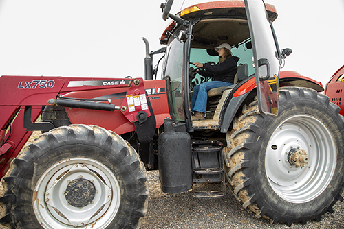 agriculture student shown close up checking corn for an experiential learning assignment for their agriculture courses. 