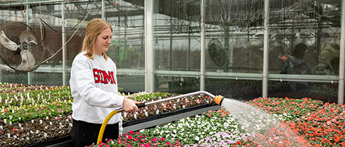 a female agriculture student fills field planter with seed for dept of agriculture in gordonville, mo with SEMO's program