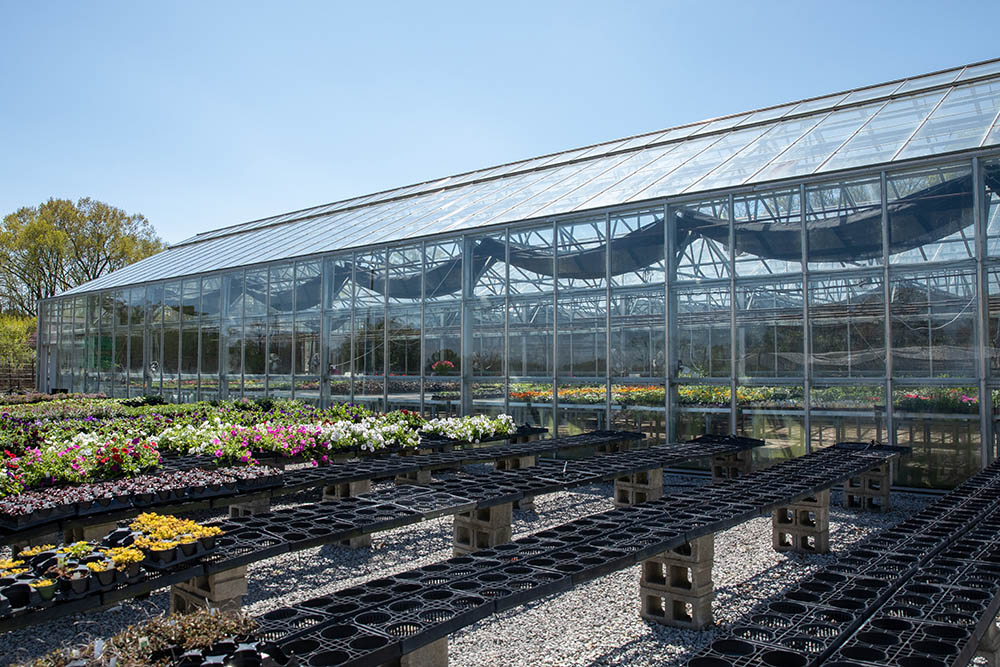 charles-hutson-greenhouse.jpeg