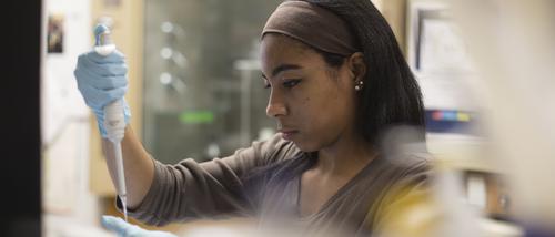 Students work in a lab with gloves and a syringe