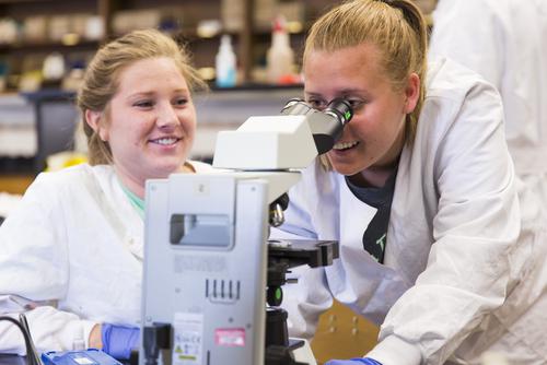 Two biology students smile while looking in a microscope during a lab