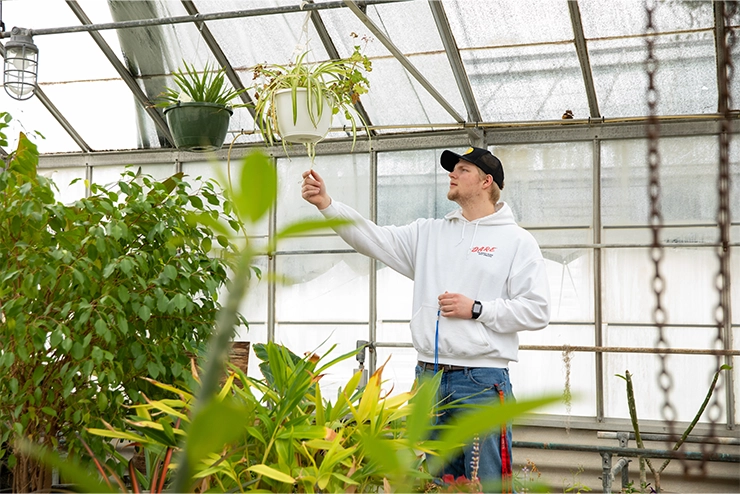 A student at SEMO in the Biological and Environmental Sciences working in the Campus Greenhouse
