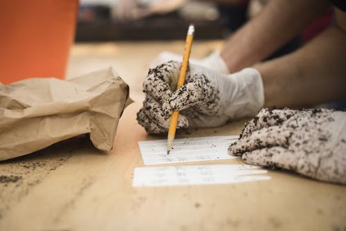 a biology student's gloved hands covered in dirt writes on plant markers during a lab