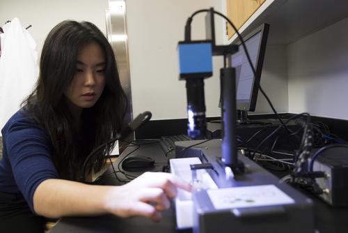 A Southeast Missouri State University physics student uses a mechanical tester on biomaterials. 