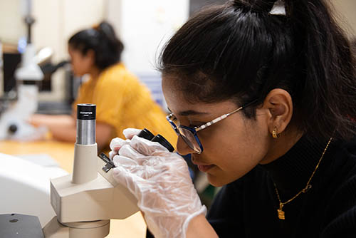 a student leans in to the viewing lens of a microscope