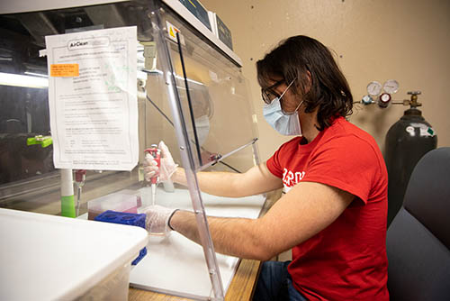 A student works with a project under a lab hood