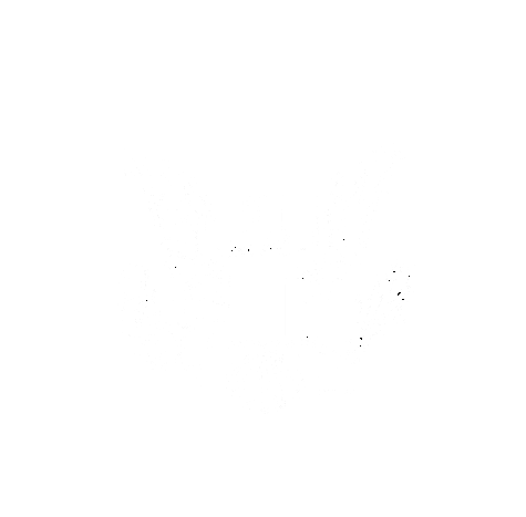 Logo for Delta Regional Authority