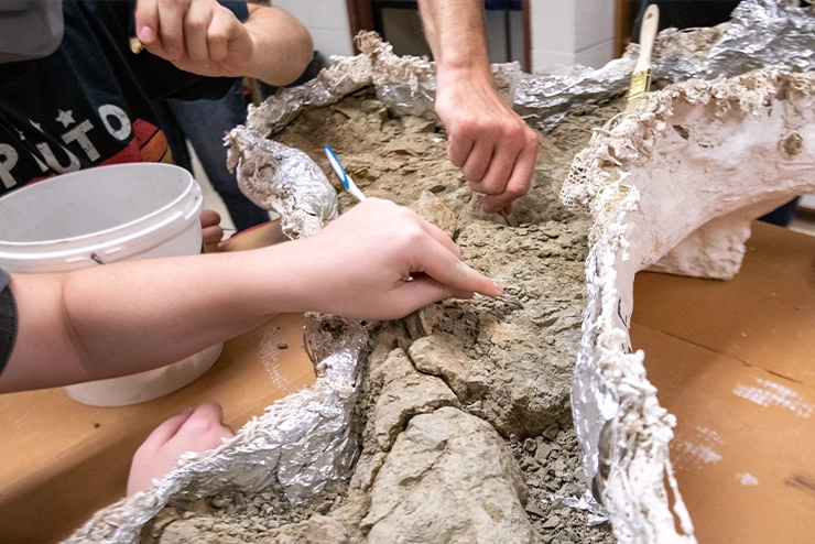 Learners at SEMO using a cast fossil to dig and clean the bones 