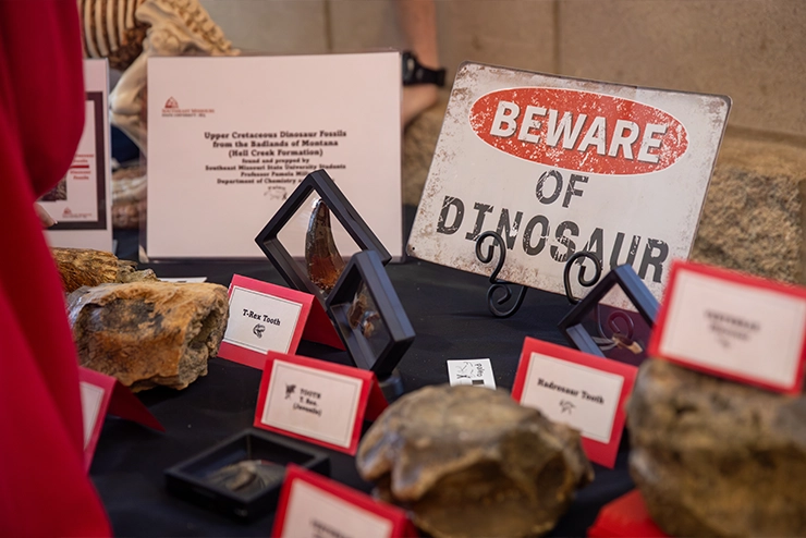 A table with labeled fossils on it at SEMO