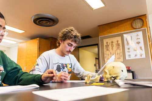 anthropology program student takes notes during a lab exercise
