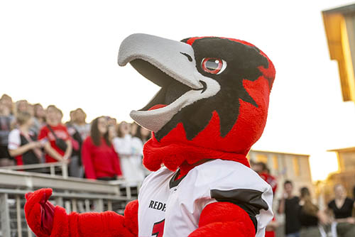 Rowdy performs in front of the crowd at a SEMO football game