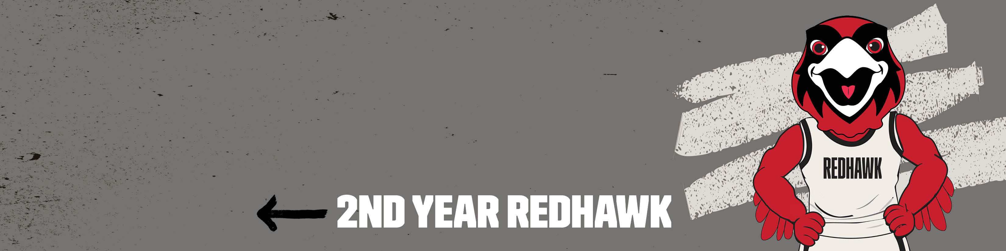 rowdy 2nd year linked in cover