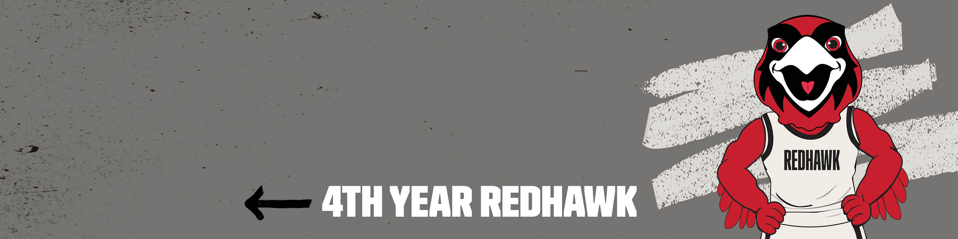 rowdy 4th year linked in cover