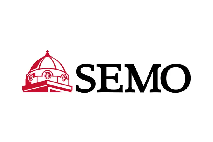 a visual example of the SEMO supergraphic with the dome logo