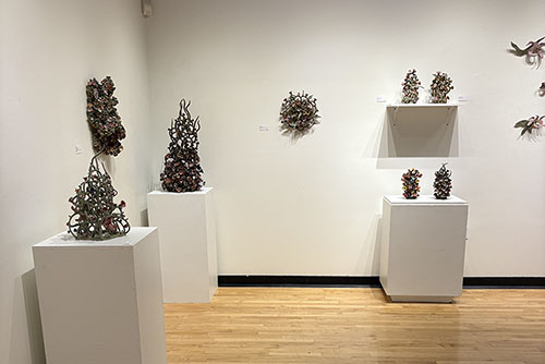 An exhibit of Vine Sculptures.