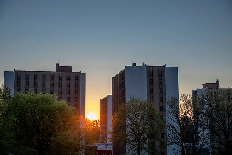 bog-room-and-board-towers-sunrise_740x494.webp