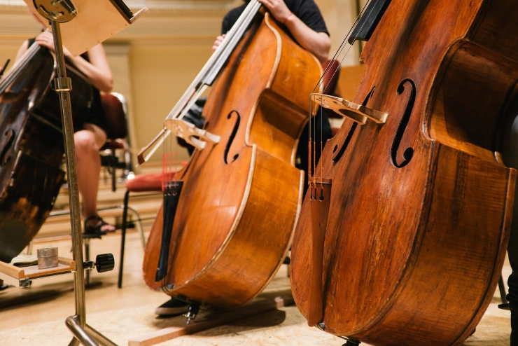 Medium shot image of three basses being played