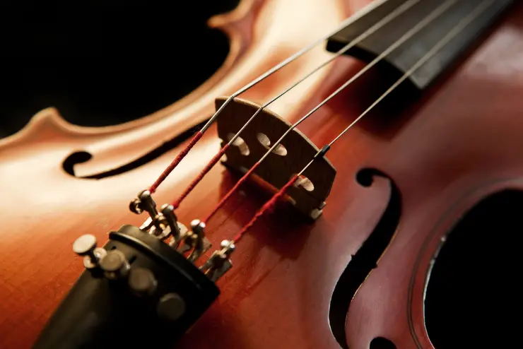 A close up of a violin and its strings