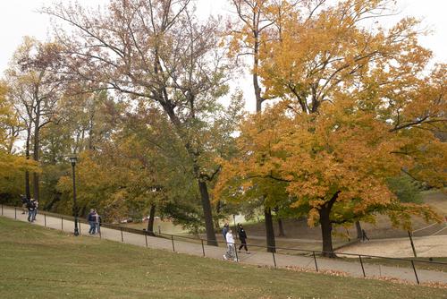 Present day students walking down Cardiac Hill