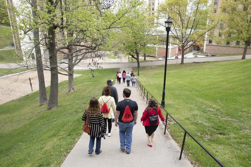 A group of prospective students walk down Cardiac Hill during their tour of campus.