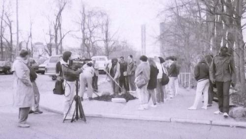 A group gathered around the replacement tree.