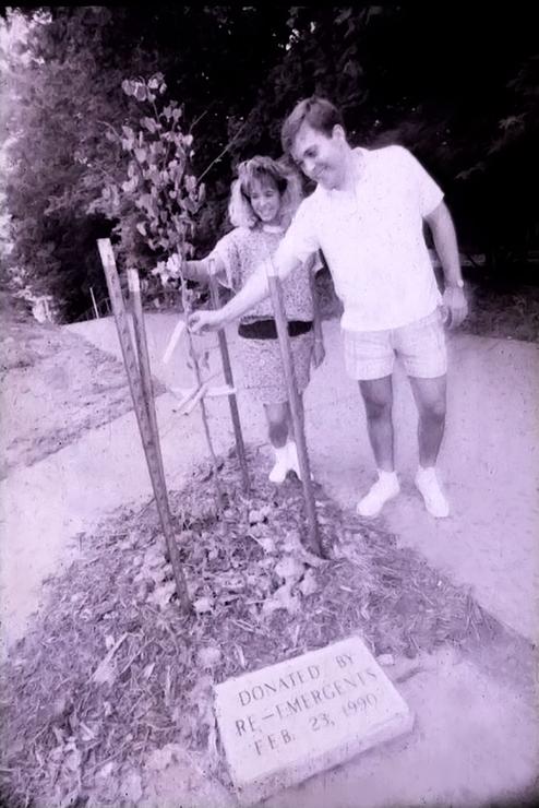 Two students gaze at the new gum tree with a dedication plaque at its base.