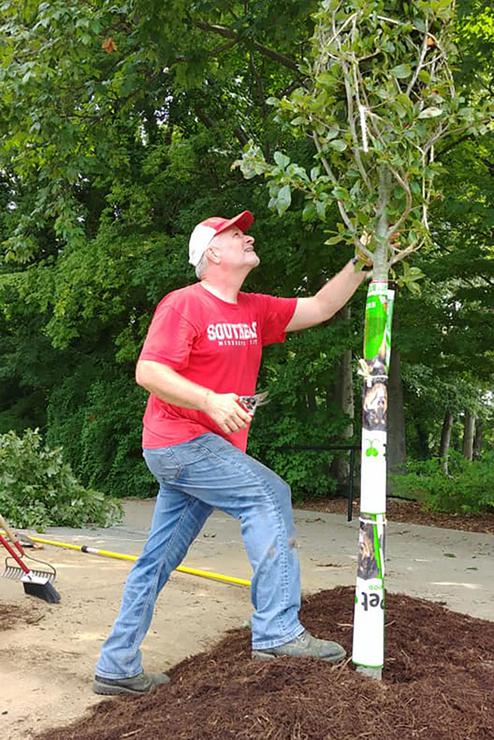 Dr. Sven Svenson, wearing a red shirt, examines the third Gum Tree.