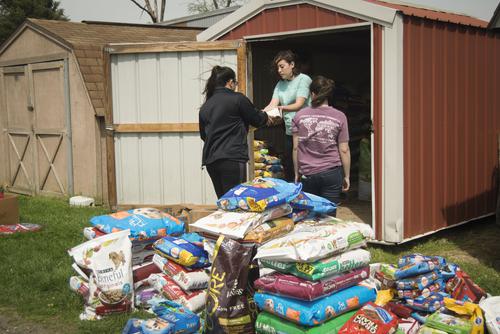 student cleaning out a shed for humane society