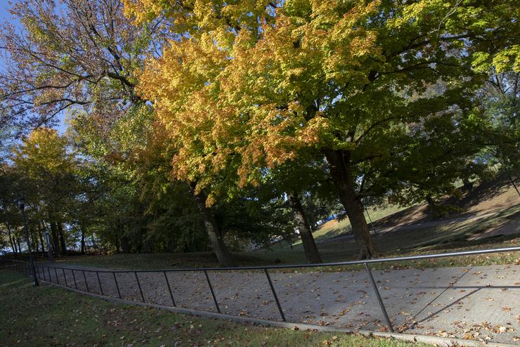 The deceptive slope of Cardiac Hill