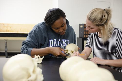 Two students examine a human skull