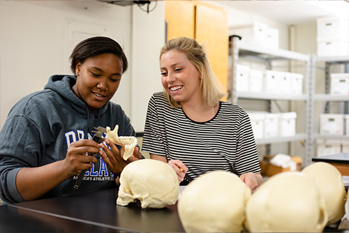 Two Girls looking at bones