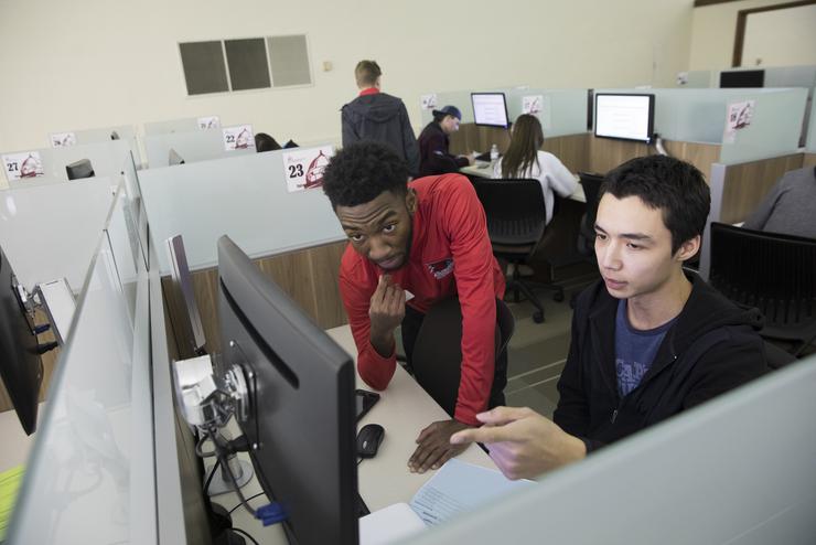A student meets with a staff member at a computer for advisement. 