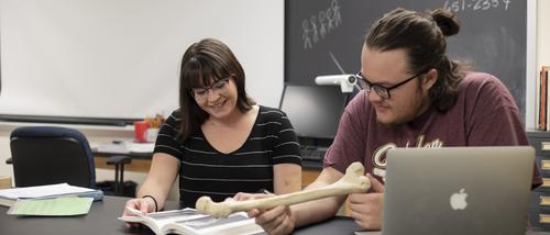 Students look in a book while examining a bone in an anthropology lab. 