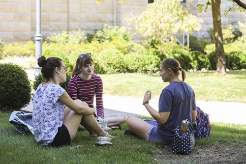 Three students sit together in the shade from a tree to have a conversation. 